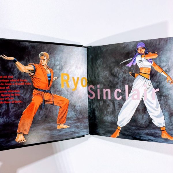 SNK Art of Fighting 3 Gaiden Limited Edition Neo Geo CD [Japan Import] - Image 20
